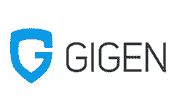 GigeNet