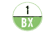 1bx.host