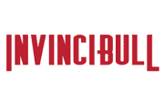InvinciBull VPN