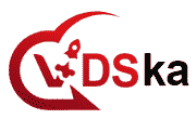 VDSka.ru