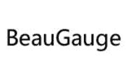 BeauGauge