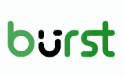 Burst-Statistics