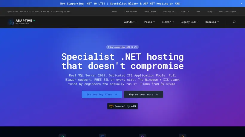 Adaptive Web Hosting homepage screenshot