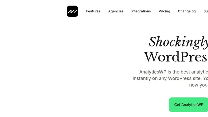 AnalyticsWP homepage screenshot