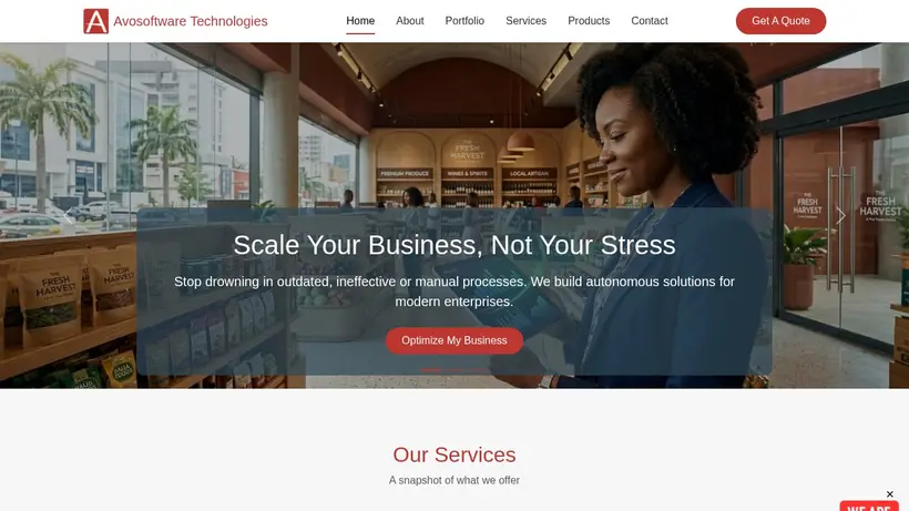 Avo-Soft homepage screenshot