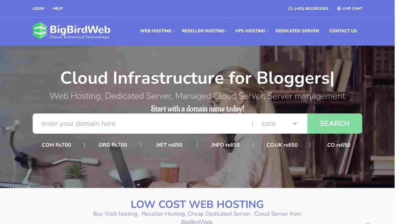 BigBirdWeb homepage screenshot