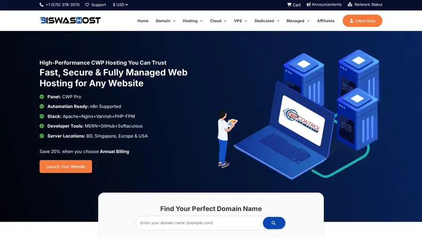 BiswasHost homepage screenshot