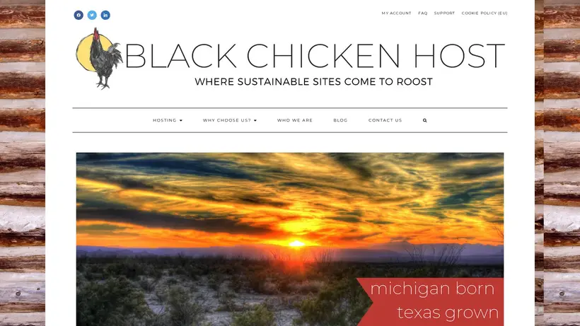 BlackChickenHost homepage screenshot
