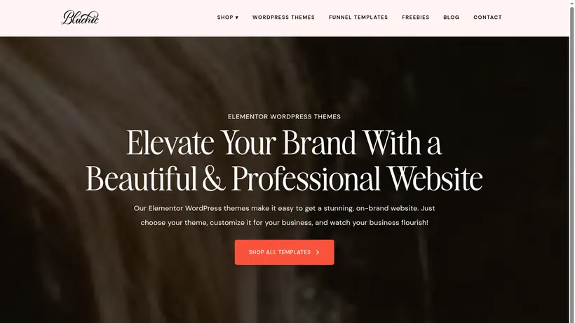 Bluchic homepage screenshot