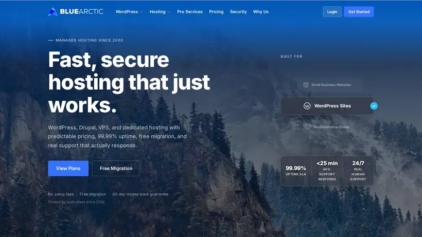 Blue Arctic homepage screenshot