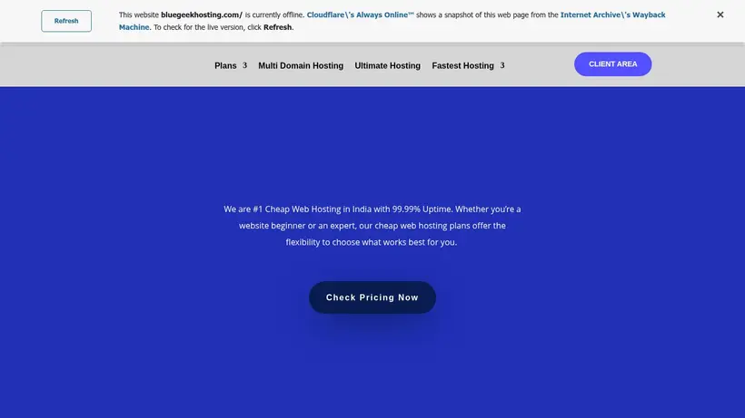 BluegeekHosting homepage screenshot