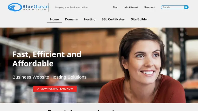 Blue Ocean Web Hosting homepage screenshot