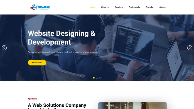 BluePandaHosting homepage screenshot
