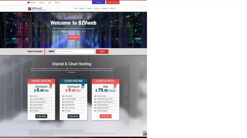 BZVweb homepage screenshot