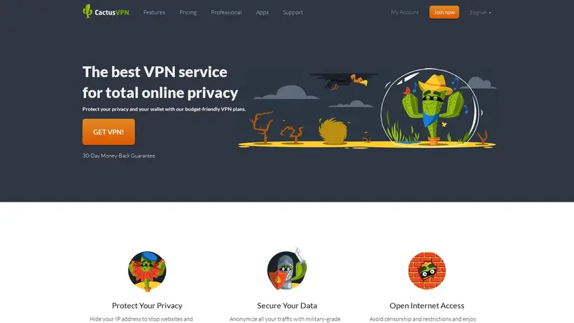 CactusVPN homepage screenshot