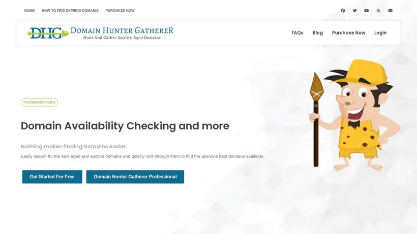 Domain Hunter Gatherer homepage screenshot