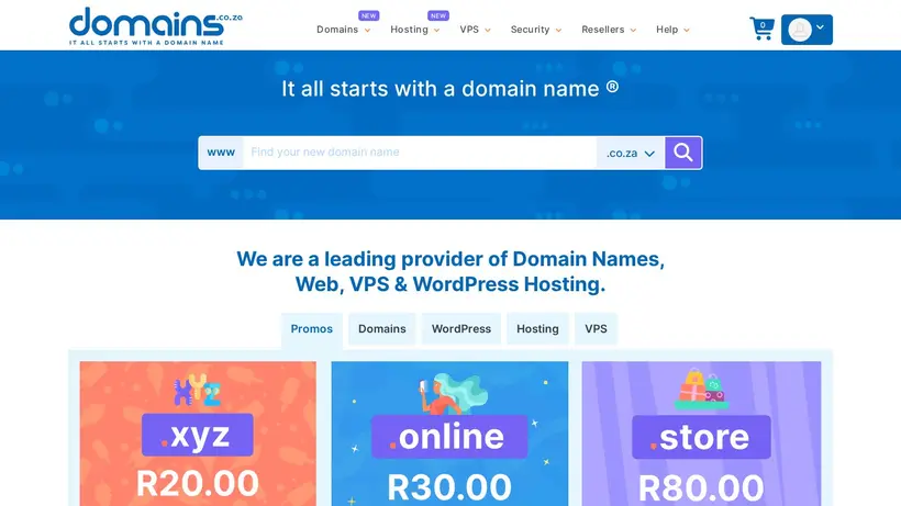 Domains.co.za homepage screenshot