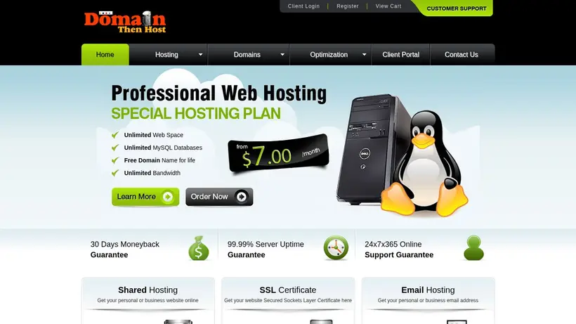 Domain Then Host homepage screenshot