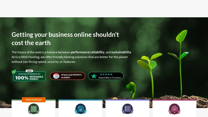 EcoWebHosting homepage screenshot