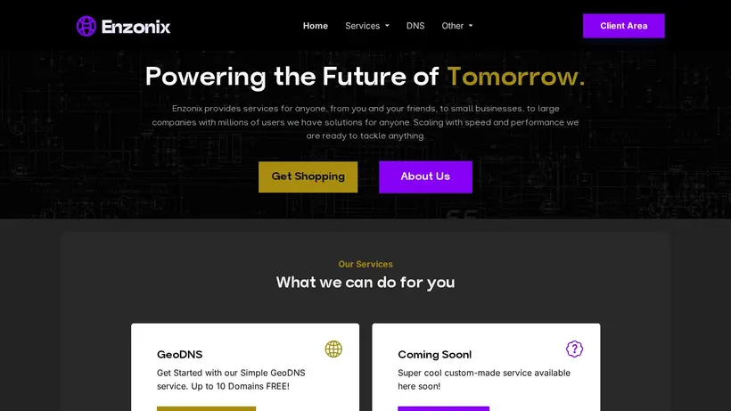 Enzonix homepage screenshot