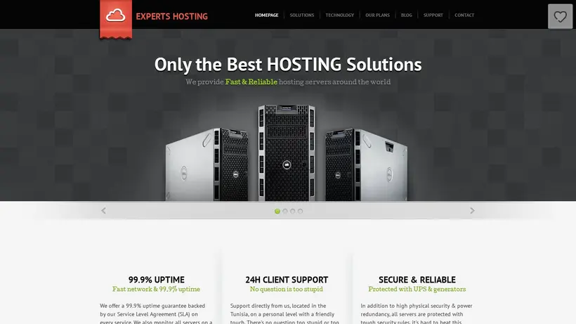 Experts-Hosting homepage screenshot