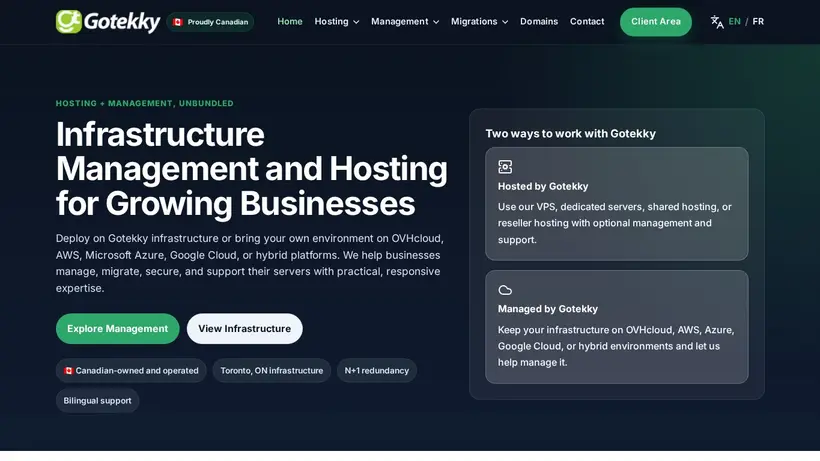 Gotekky homepage screenshot