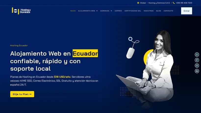 Hosting y Dominios homepage screenshot