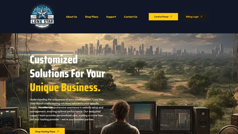 Lone Star Data Ranch homepage screenshot