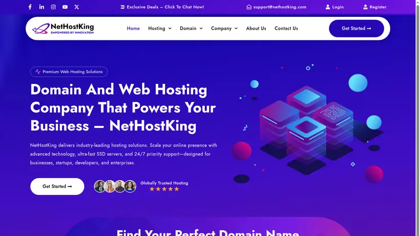 NetHostKing homepage screenshot