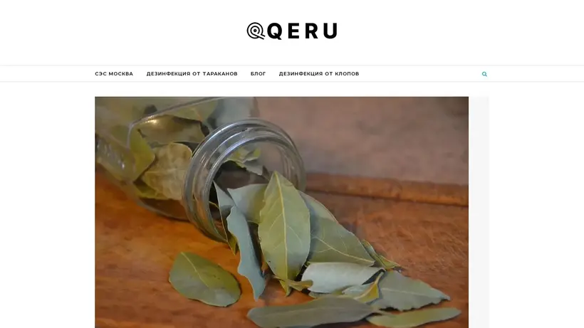 Qeru homepage screenshot
