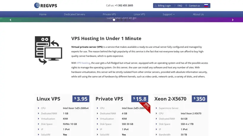 Reg VPS homepage screenshot