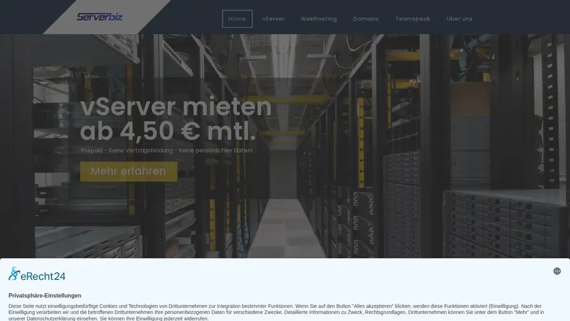 ServerBiz homepage screenshot
