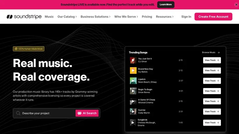 Soundstripe homepage screenshot