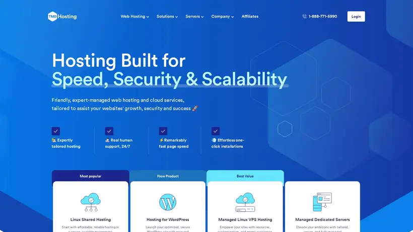 TM DHosting homepage screenshot