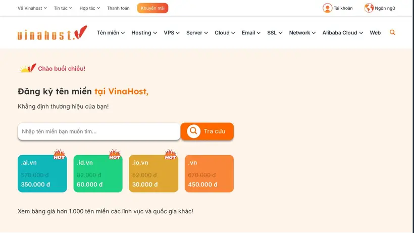 Vina Host homepage screenshot