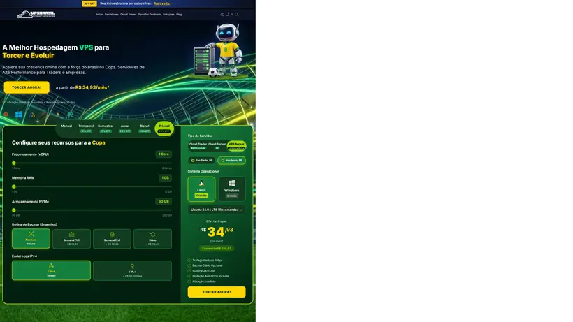 VPS Brasil BR homepage screenshot