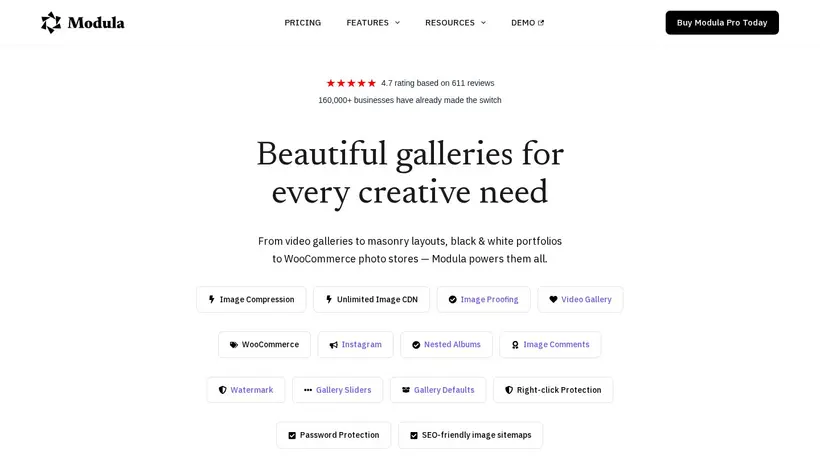 WP Modula homepage screenshot