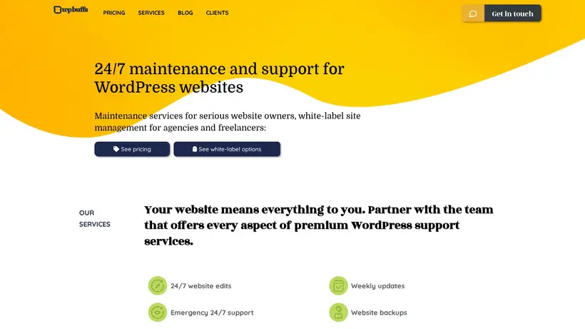 WP Buffs homepage screenshot