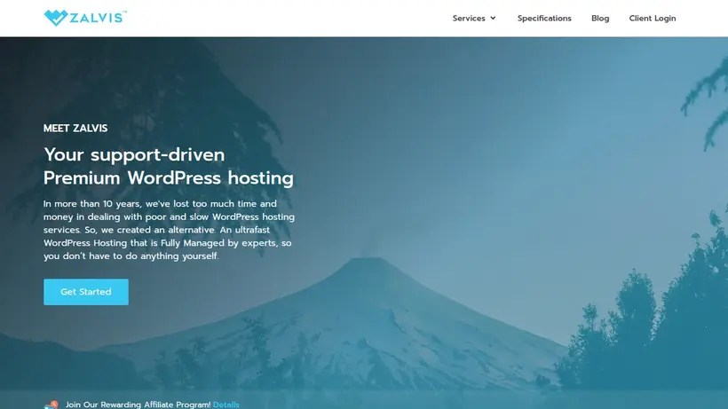 Zalvis homepage screenshot
